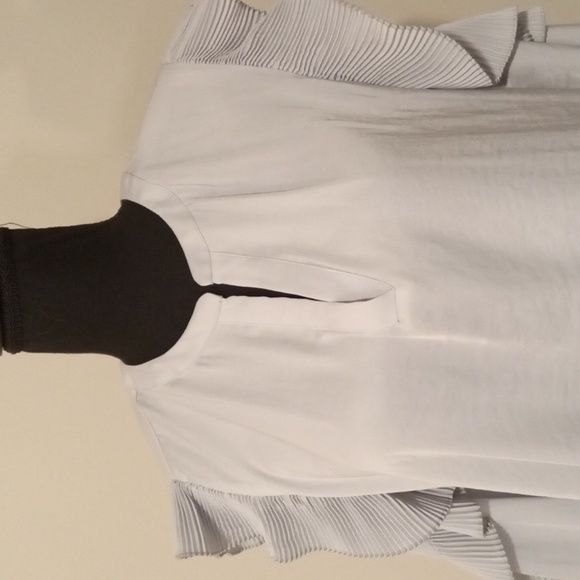 Simply Vera -Vera Wang V Neck Long Sleeve Accordion Ruffle Detail Blouse Size L - Picture 4 of 9